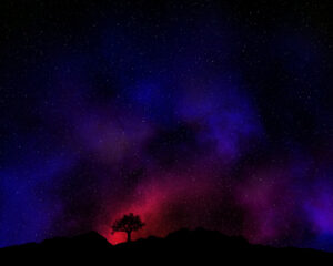 tree silhouetted against night sky with nebula
